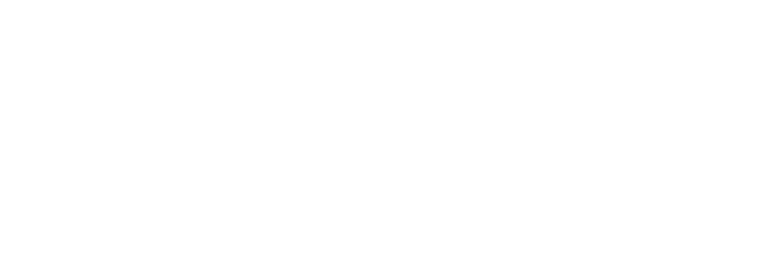 JELY Marketing Logo in White